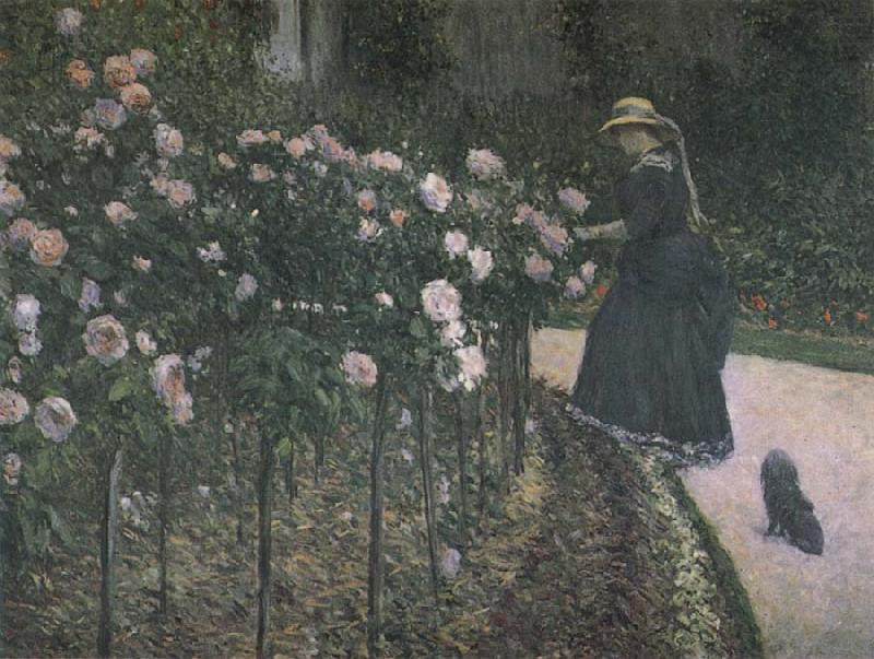 Some Rose in the garden, Gustave Caillebotte